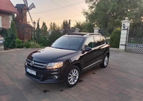 volkswagen tiguan Volkswagen Tiguan cena 62200 przebieg: 129000, rok produkcji 2013 z Złotów